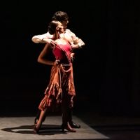 COMPAÑÍA ANTONIO GADES